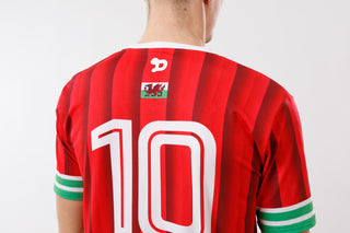 Ronaldinho Wales Jersey/Camisa